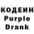 Codein Purple Drank Luida Zhukova