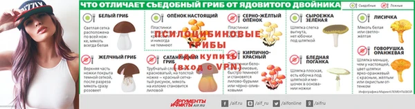 тгк Бородино