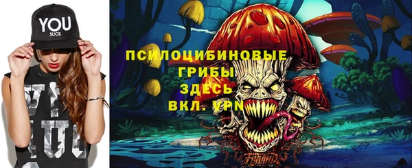 ECSTASY Бугульма