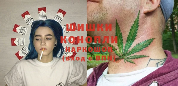 тгк Бородино