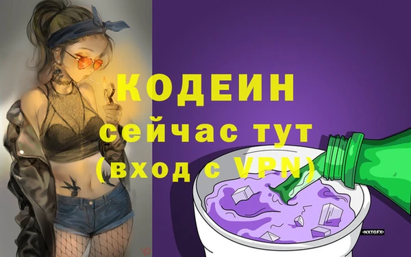 тгк Бородино