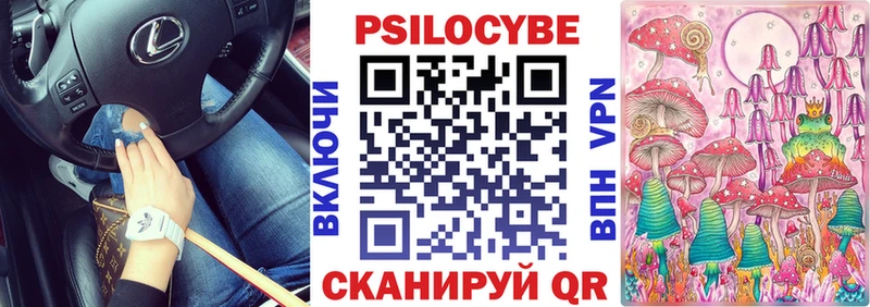 купить наркоту  Тосно  МЕГА онион  Псилоцибиновые грибы GOLDEN TEACHER 