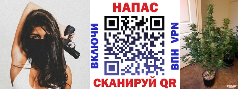 Марихуана White Widow  Тосно 
